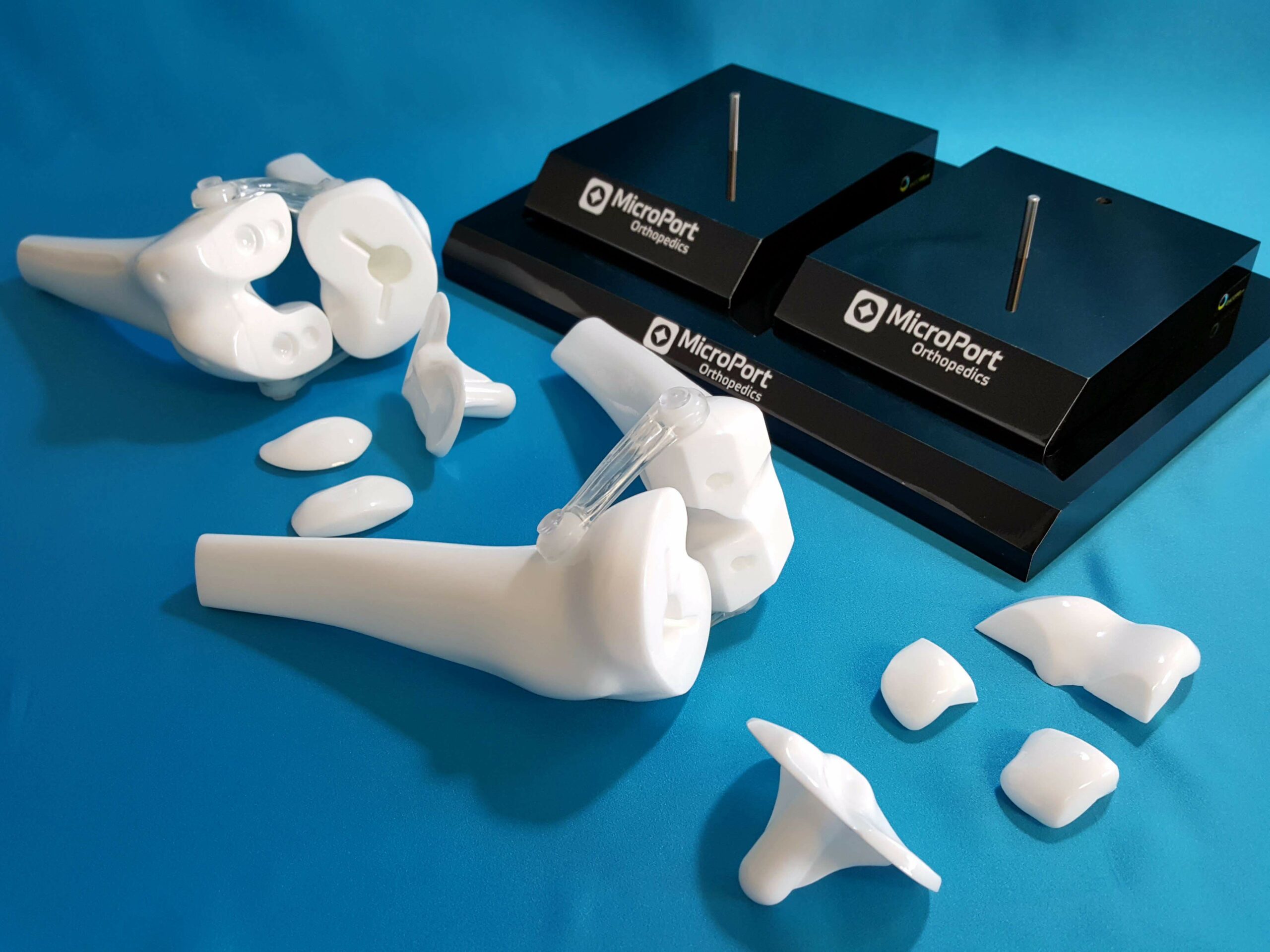 Magnetized Bone Cut Knee Models Encoris 1 scaled
