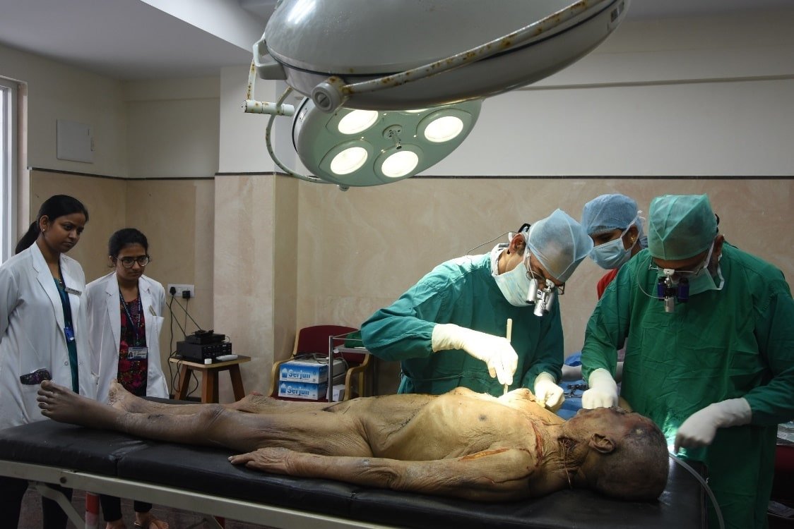 surgical training education on cadaver